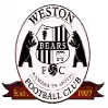 韦斯顿劳动熊